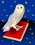 Cute barn owl, symbol of wisdom, sitting on a red book.