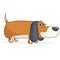 Cute Basset Hound dog cartoon. Vector illustration isolated on white background