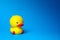 Cute bath duck toy