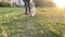 Cute beagle dog outdoor with her male owner. Slow motion.