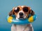 Cute beagle dog wearing sunglasses and a swimming ring. The concept of a summer holiday in sea