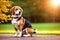 Cute Beagle puppy outdoors. Beagle breed. Color grading generative ai, a hunting dog