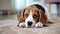 Cute Beagle rests on a white carpet, bringing warmth and charm to the living room, Ai Generated