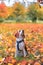 Cute beagle sits in anticipation of falling autumn leaves