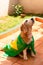 Cute Beagle With Yellow Glasses and Flag Cheering for Brazil to be the Champion