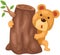 Cute bear hiding behind stump