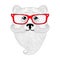 Cute bear portrait with french mustache, beard, glasses.