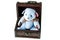 Cute Bear in Wooden Prize Box With White Isolated