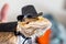 Cute bearded dragon reptile wearing a suit and hat