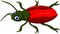 Cute beetle cartoon posing