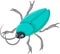 Cute beetle cartoon for you design
