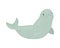 cute beluga whale design