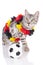 Cute bengal cat with german soccer fan stuff