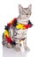 Cute bengal cat with german soccer fan stuff