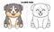 Cute Bernese Puppy Coloring Page
