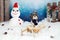 Cute Bichon Havanese dog with dark blue scarf on a vintage wooden sled in a winter?s tale decor with snow, snowman with Santa`s