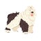 Cute big dog Bobtail. Animal flat vector illustration