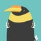 Cute big fat hornbill bird
