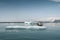 Cute big seal over ice with Glacier Lagoon