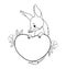 Cute bilby with heart and flowers. Australian animal. Valentine enamored character. Linear, outline drawing, coloring
