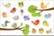 Cute bird characters set, cute colorful cartoon birds flying, singing, sitting on the branch vector Illustrations on a