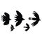 Cute bird flock silhouette cartoon vector illustration motif set. Hand drawn avian life elements clipart for birdwatching