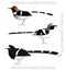 Cute Bird Forktail Set Cartoon Vector