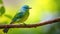 Cute_bird_Green_Broadbill_Calyptomena_viridis_rest_on_1690600058185_2