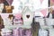 Cute Bird House, Mini Pillows, and Lavender Bouquet on Shelves