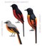 Cute Bird Minivet Set Cartoon Vector