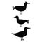 Cute bird silhouette cartoon vector illustration motif set. Hand drawn avian life elements clipart for birdwatching blog