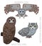 Cute Bird Spotted Owl Barred Screech Set Cartoon Vector