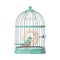 Cute bird trapped in a cage