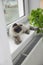 Cute Birman cat on windowsill near radiator at home