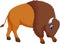 Cute bison cartoon