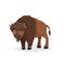 Cute bison standing. Cartoon comic style vector illustration of forest wild animal. Buffalo.