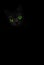 Cute black cat with green eyes is looking out of the shadow on background. Cat pussycat. Green eyes cat. Art shadow kitty. Cat in