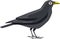 Cute black crow vector