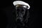 Cute black dog in a sailor cap looking at camera on black background