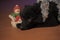 Cute black fluffy puppy pooch and christmas