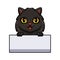 Cute black persian cat cartoon holding blank sign