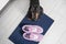 Cute black and tan dachshund looks up from the floor, standing close to owner pink boots. Waiting for walk or bringing shoes. Indo