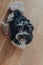 Cute black and white 2 months old Havanese puppy sitting next to his toy, asking to play, looking up at the camera