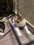 Cute black and white adult 4 year old cat lie down on dark brown tile wear pink checkered harness purple leash sunlight sunshine