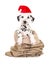 Cute black and white dalmatian puppy dog in a burlap sack wearing santa`s hat