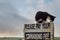 Cute black and white kitten playing on an old weathered parking fee sign, Green field and beautiful colorful sky out of focus in