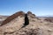 Cute black young dog walking at Atacama desert and looking away