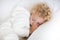 Cute blond curly little boy sleeping on white couch