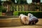 Cute blond curly twin girls dressed up as princesses in the garden of ancient castle, beautiful small girls in blue and pink long