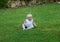 Cute blond lond baby girl playing on the grass